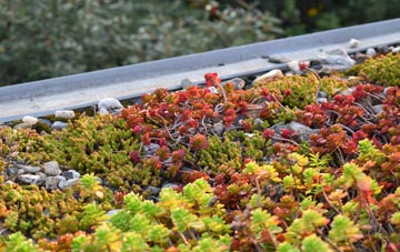 the cost of Tregeare green roof installation