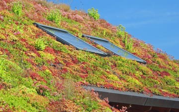 Tregeare living roof systems